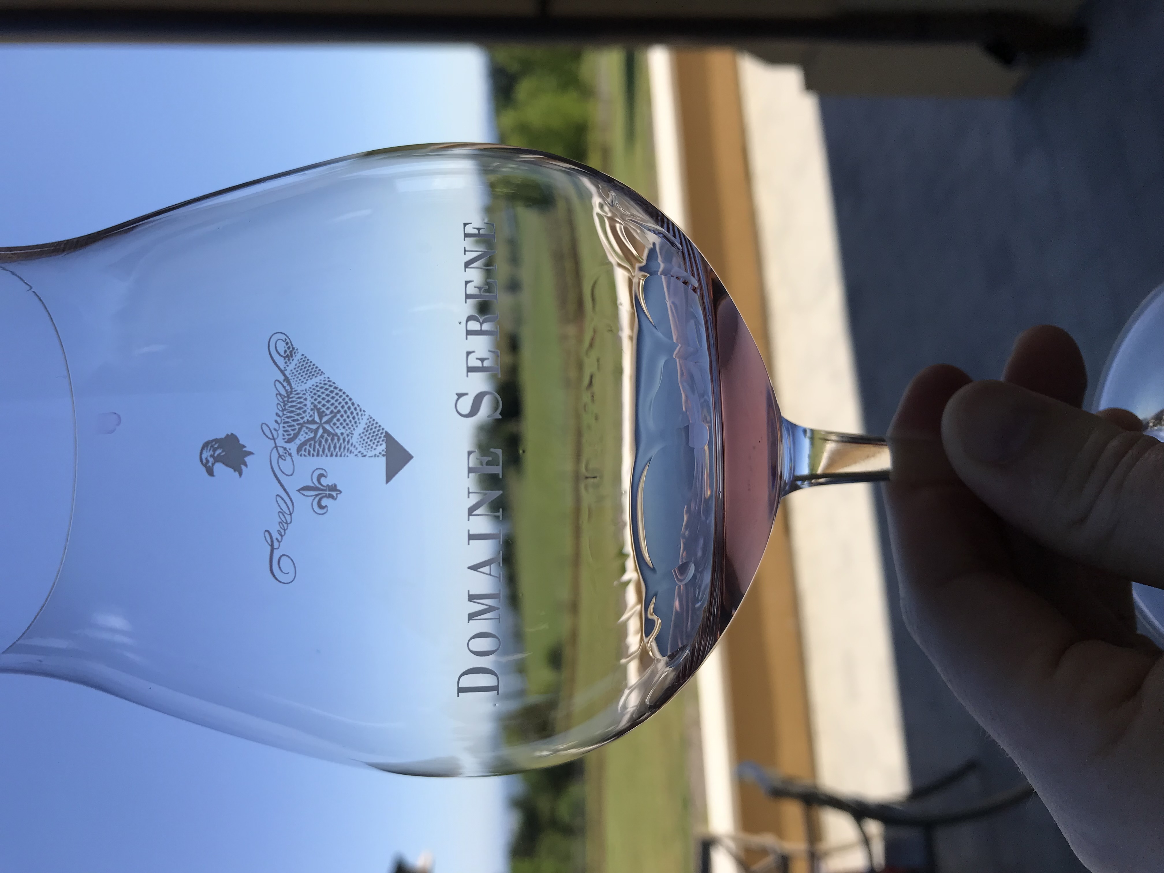 Willamette Valley vineyard with coastal range hills behind
