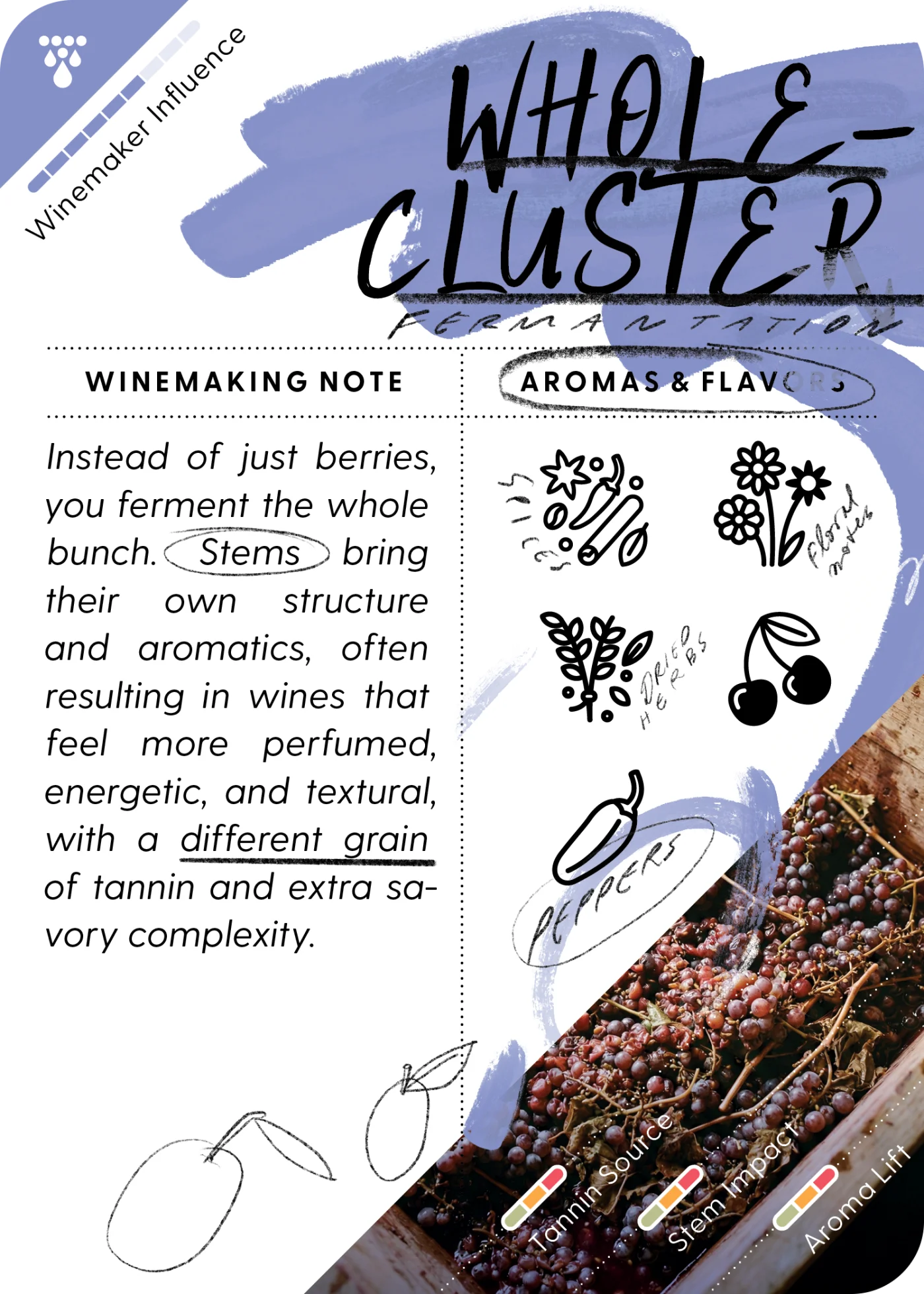 Mistral WineCards Deck ONE · Whole Cluster terroir card
