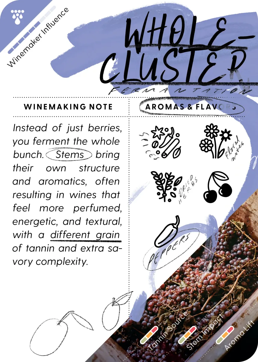 Mistral WineCards Deck ONE tin with the Cabernet Sauvignon card fanned in front, view 2