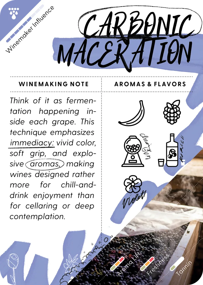 Carbonic Maceration