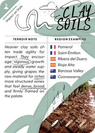 Clay Soils