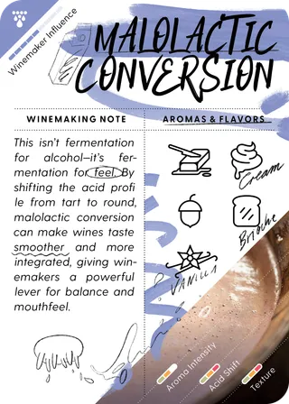 Malolactic Conversion