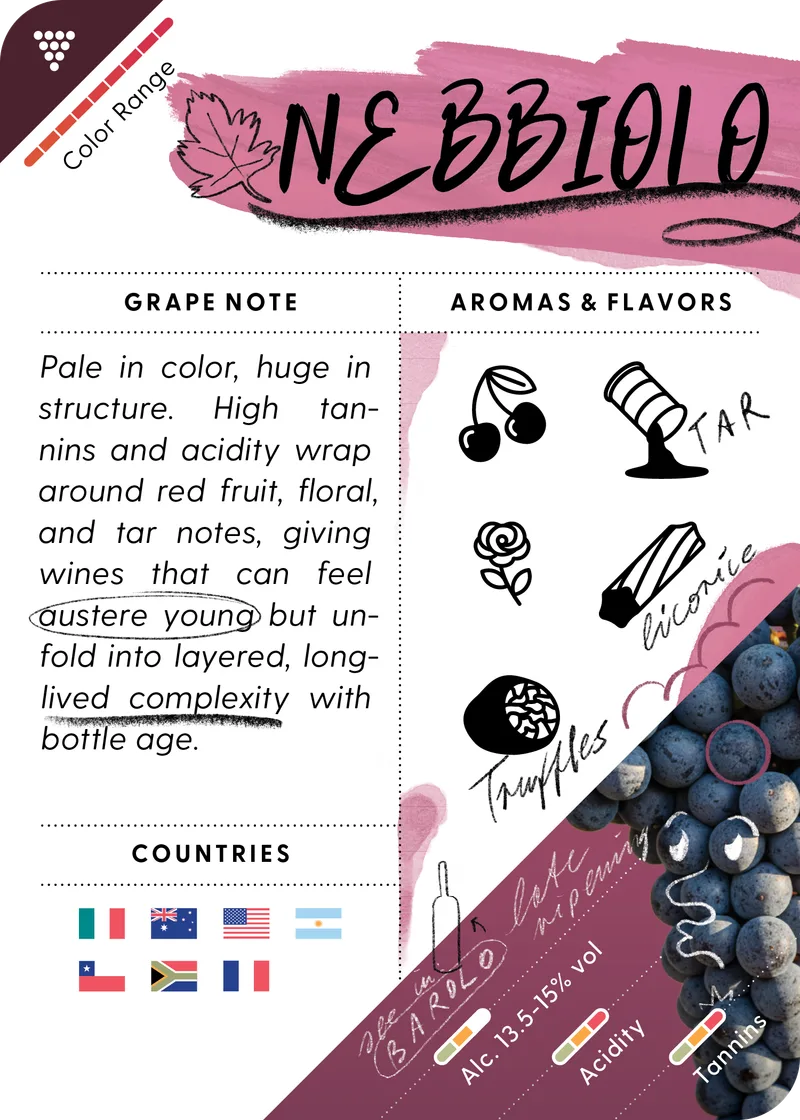 Nebbiolo