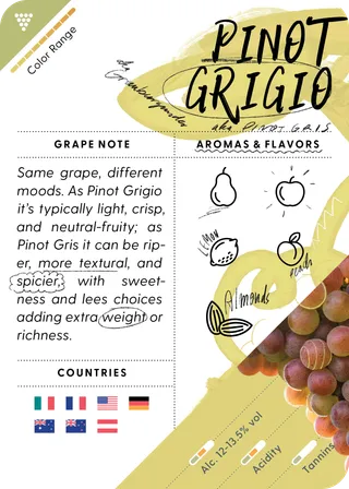 Pinot Grigio / Pinot Gris