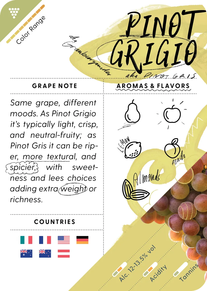 Pinot Grigio / Pinot Gris