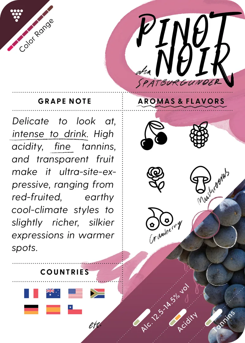 Pinot Noir