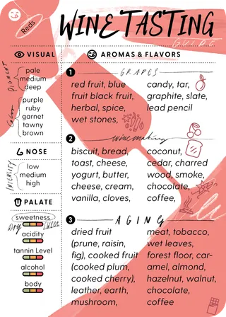 Red Wine Tasting Guide