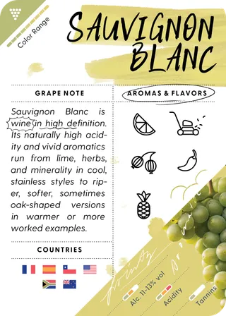 Sauvignon Blanc