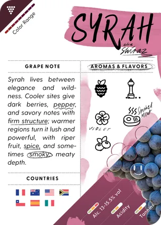 Syrah / Shiraz