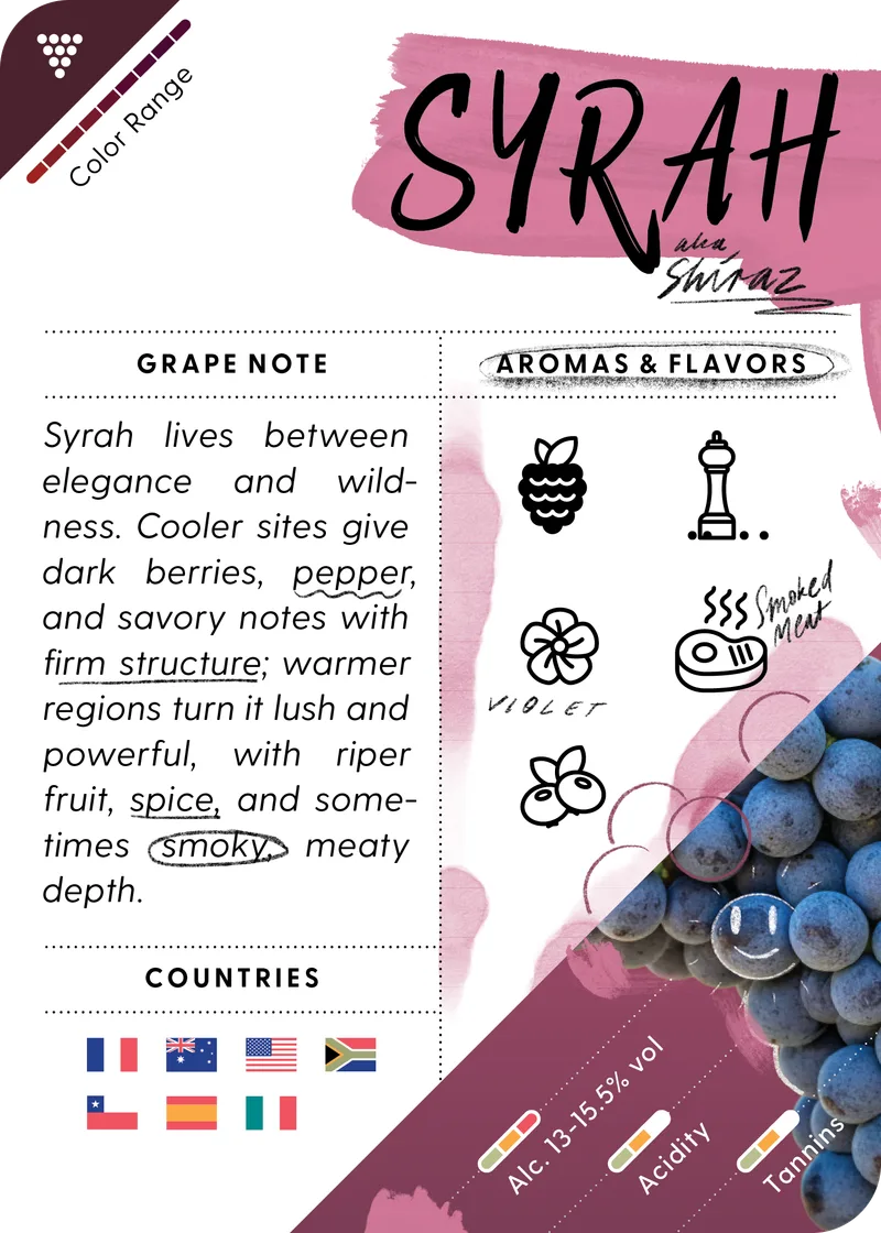 Syrah / Shiraz