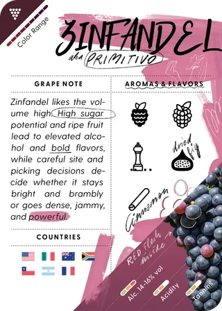 Zinfandel / Primitivo