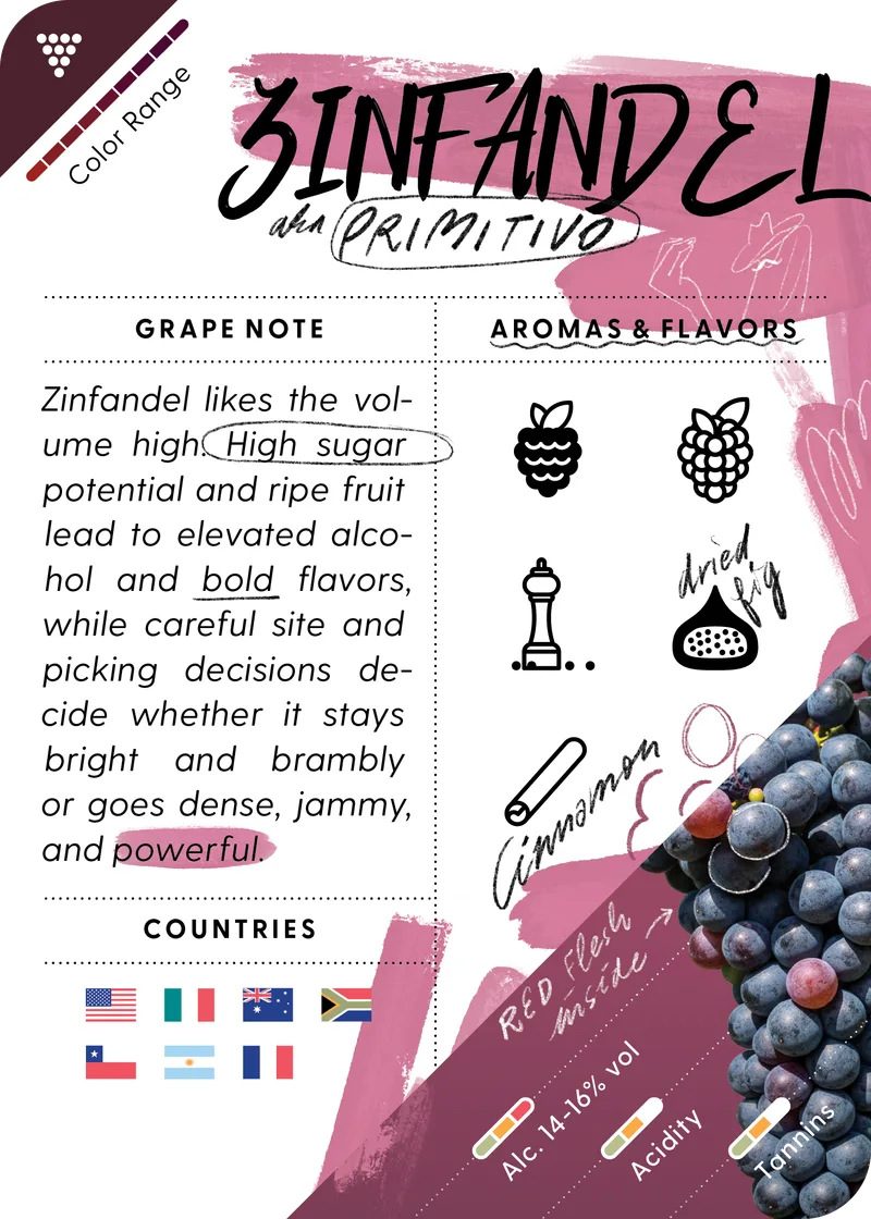 Zinfandel / Primitivo